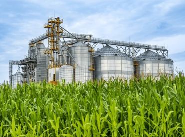 Agro Processing