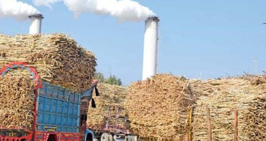 Sugar and distillery plant